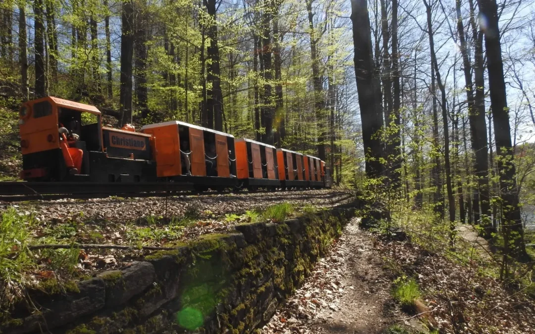 Erzbahn Schönborn-Dreiwerden