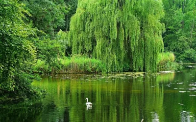 Kees’scher Park Markkleeberg