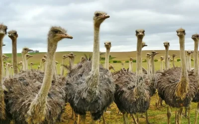 Tierpark Eilenburg