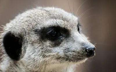 Tierpark Petersberg